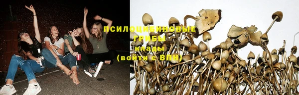 кокаин премиум Пролетарск