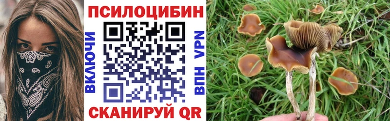 Галлюциногенные грибы прущие грибы  Зеленодольск 