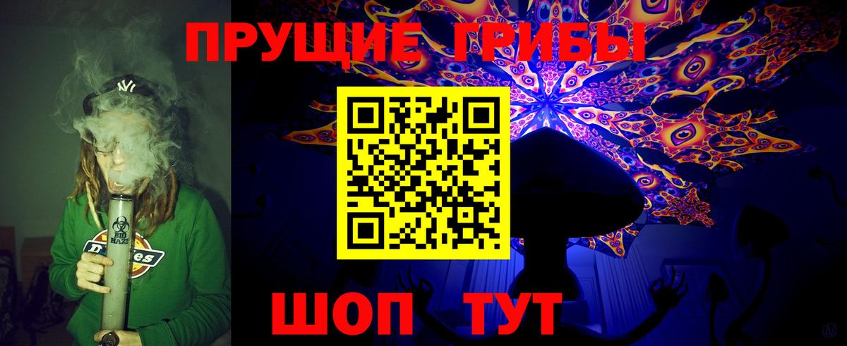 Галлюциногенные грибы GOLDEN TEACHER  Псилоцибиновые грибы Magic Shrooms  Зеленодольск  Вход с VPN 